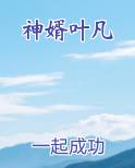 神婿叶凡小说短剧