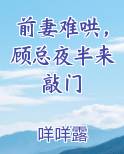 前妻难哄，顾总夜半来敲门