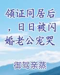 领证同居后，日日被闪婚老公宠哭