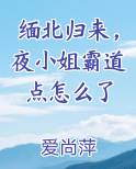 缅北归来，夜小姐霸道点怎么了免费下载