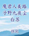 魔君人美路子野九夜尘白苏完整版小说