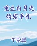 重生白月光娇宠手札