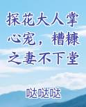 探花大人掌心宠，糟糠之妻不下堂小说影视剧