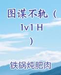 图谋不轨（1v1 H）