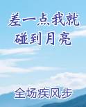 差一点我就碰到月亮小说全集