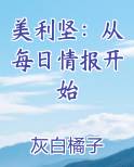 美利坚：从每日情报开始小说推荐