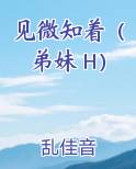 见微知着（弟妹 H）小说全集