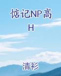 惦记NP高H